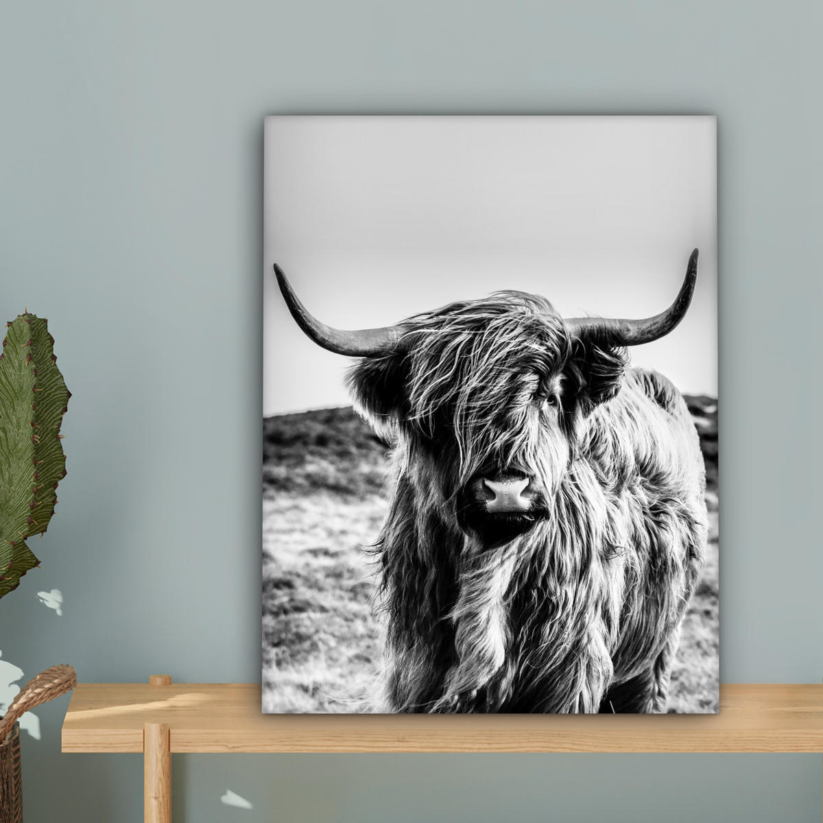 LEINWANDBILD Kuh - Schottischer Hochländer - Schwarz - Weiß - Tier - Natur - Wildtiere 30x40 cm - Schwarz, Textil (30/40cm) - MuchoWow
