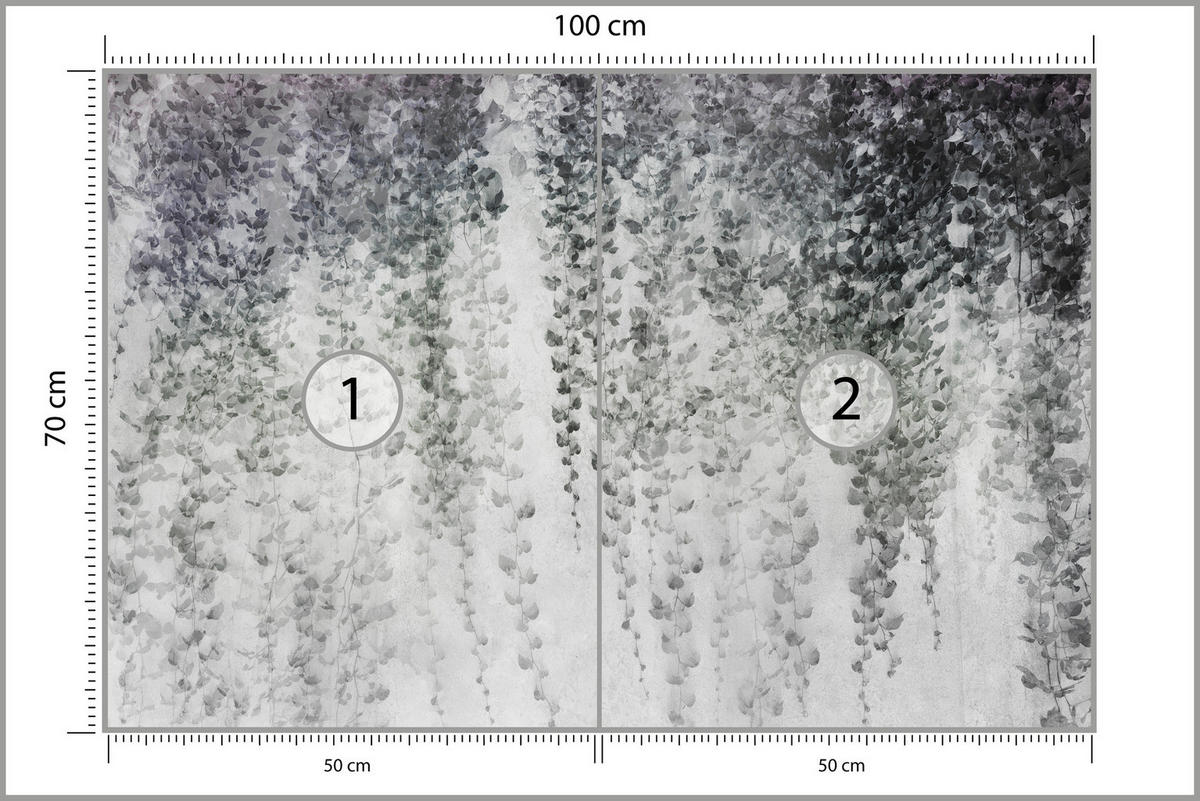 FOTOTAPETE Blätter Pflanzen Natur Vintage 100x70 - Grau, Papier (100/70cm) - Muralo