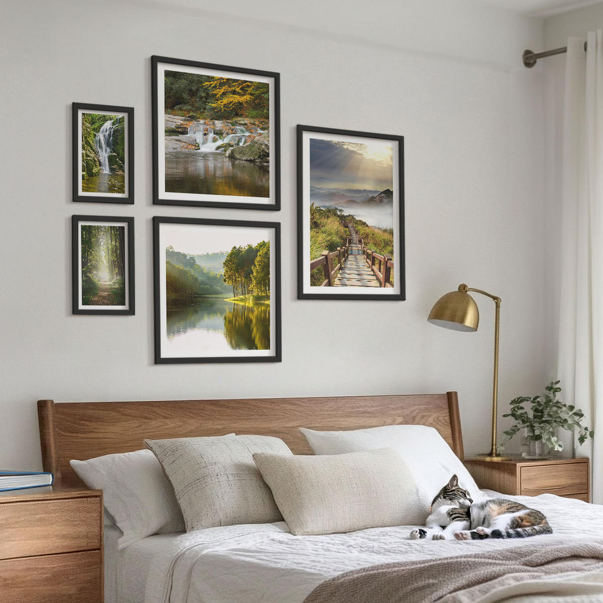 BILDER SET 5er Set - 50x50 cm & 20x30 cm & 40x60 cm Schwarzer Rahmen - Grüne Blätter von eleganten Sukkulenten - Schwarz, Kunststoff (40/60cm) - TULUP