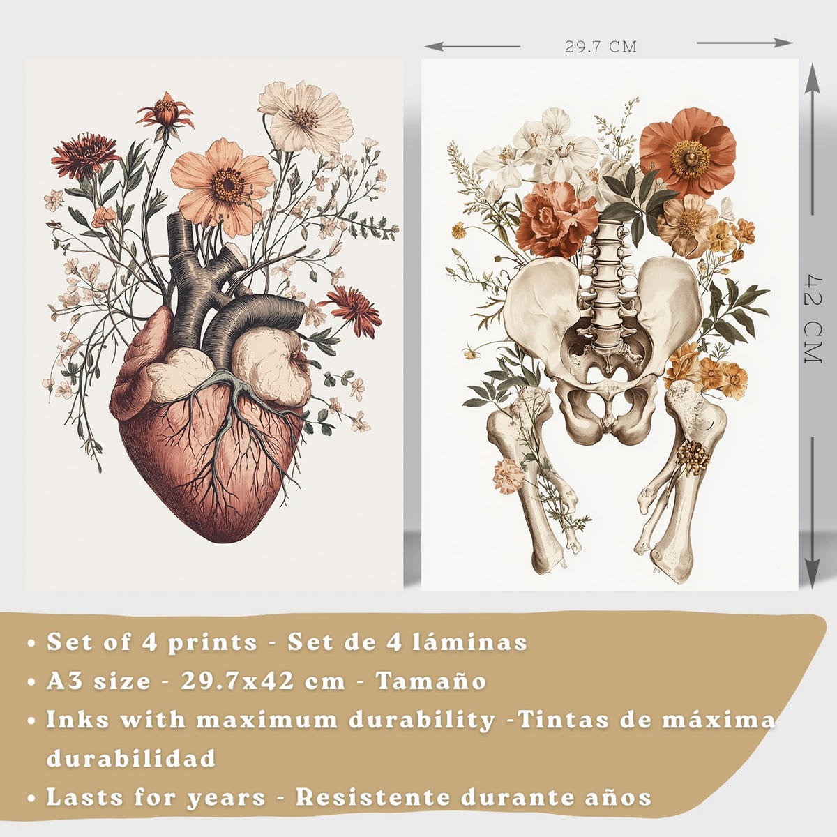 POSTER Set aus 4 Anatomie Drucke und Wandbilder mit Herz Nieren Schädel und Becken Botanischer Stil Medizinische Wanddekoration Größe Weißer Rahmen A3 - Weiß, Papier (29.7/42/3cm) - Nacnic