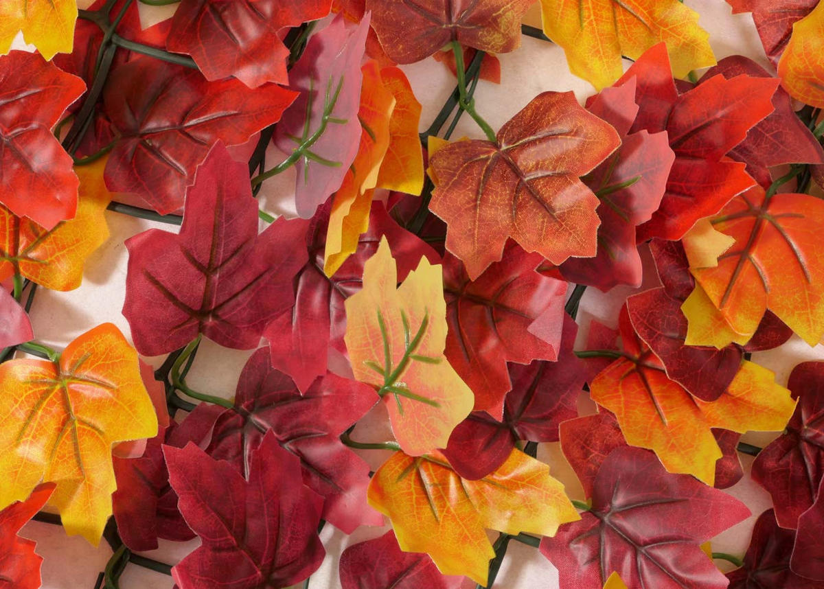 BALKONSICHTSCHUTZ BLATT Rot - Rot, Kunststoff (300/150cm) - MCW