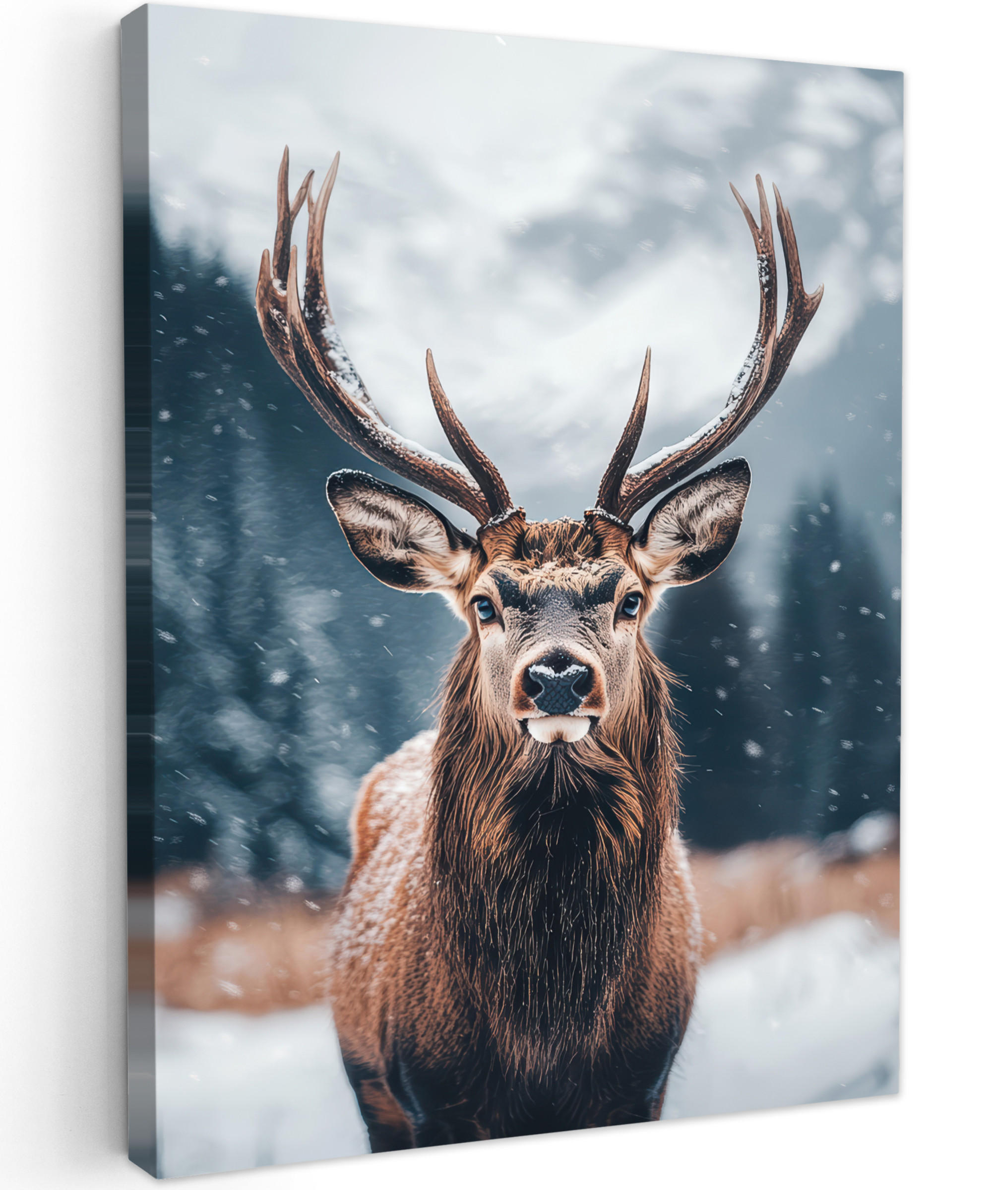 LEINWANDBILD Hirsche - Tiere - Landschaft - Winter - Schnee 60x80 cm - Kastanienfarben, Textil (60/80cm) - MuchoWow