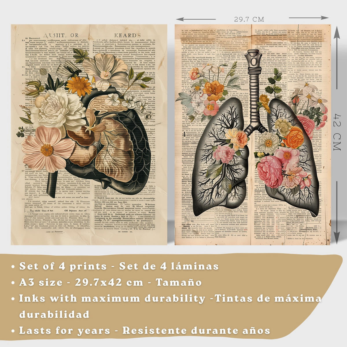 POSTER Set aus 4 Anatomie Drucke und Wandbilder mit Leber Lungen Atmungssystem Skelett Schädel Wirbelsäule Vintage Zeitungsstil Größe Rahmenlos A3 - Klar, Papier (29.7/42/3cm) - Nacnic