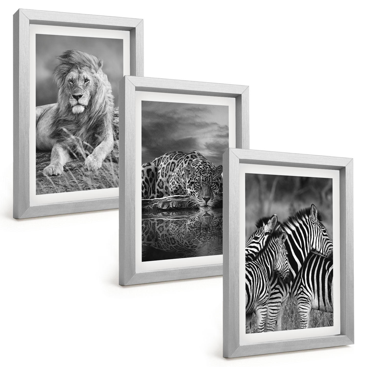 BILDER SET 3er Set - 20x30 cm Silberner Rahmen - Wildtiere der Savanne - Silberfarben, Kunststoff (20/30cm) - TULUP