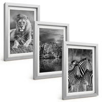 BILDER SET 3er Set - 20x30 cm Silberner Rahmen - Wildtiere der Savanne - Silberfarben, Kunststoff (20/30cm) - TULUP