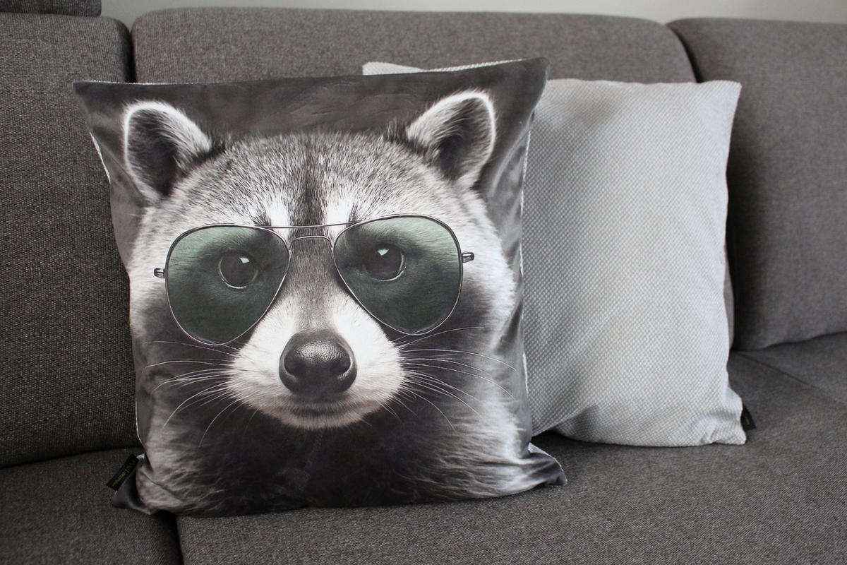 KISSENHÜLLE WASCHBÄR BILL Brille - Blaugrau, Textil (45/45cm) - Yve! decoration