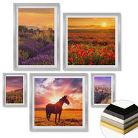 WANDBILDER 5er Set - 50x50 cm & 20x30 cm & 40x60 cm Silberner Rahmen - Berglandschaft Rosslavendel - Silberfarben, Kunststoff (40/60cm) - ArtPrintCave