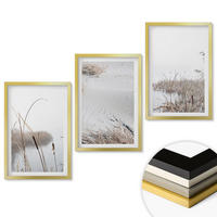 WANDBILDER 3er Set - 40x60 cm Goldrahmen - Wasserpflanzen im Sommer - Goldfarben, Kunststoff (40/60cm) - ArtPrintCave