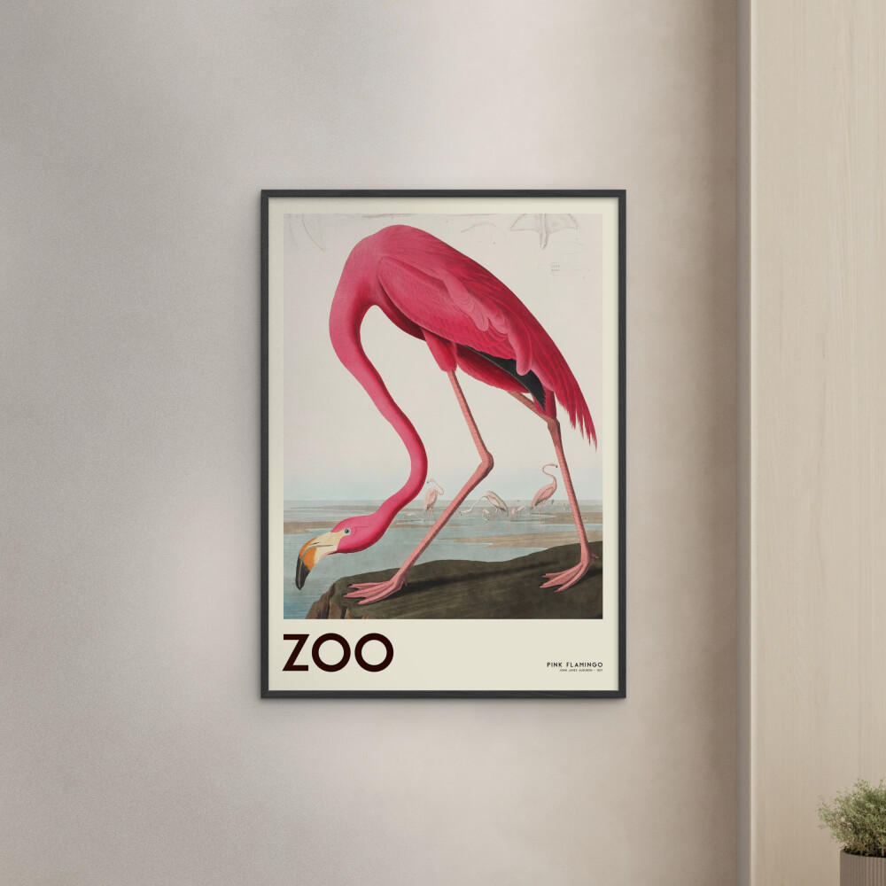 POSTER mit Rahmen A.P. Atelier - The Zoo Collection — Pink Flamingo — Edt. 001 - Pink/Schwarz, Holz/Papier (50/70cm) - Poster&Frame