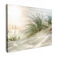 LEINWANDBILD Dünen mit Strandhafer in der Sonne des Nationalparks Schleswig-Holsteinisches Wattenmeer Wandbilder 80x60 cm - Creme, Textil (80/60cm) - MuchoWow