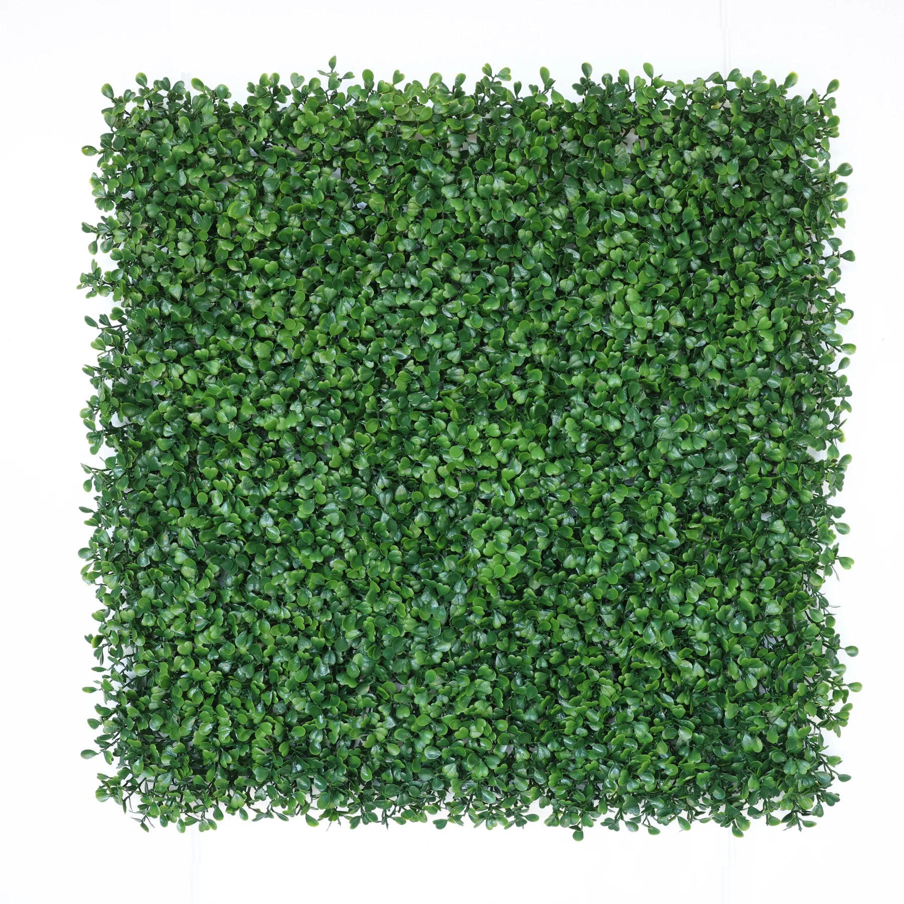 aplanta Kunstpflanze Grün 50 cm