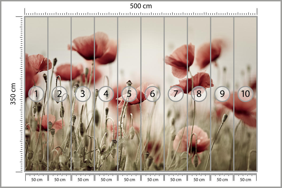 FOTOTAPETE für Wohnzimmer Zarte Mohn Blumen Wiese Rot 500x350 - Beige/Rot, Papier (500/350cm) - Muralo