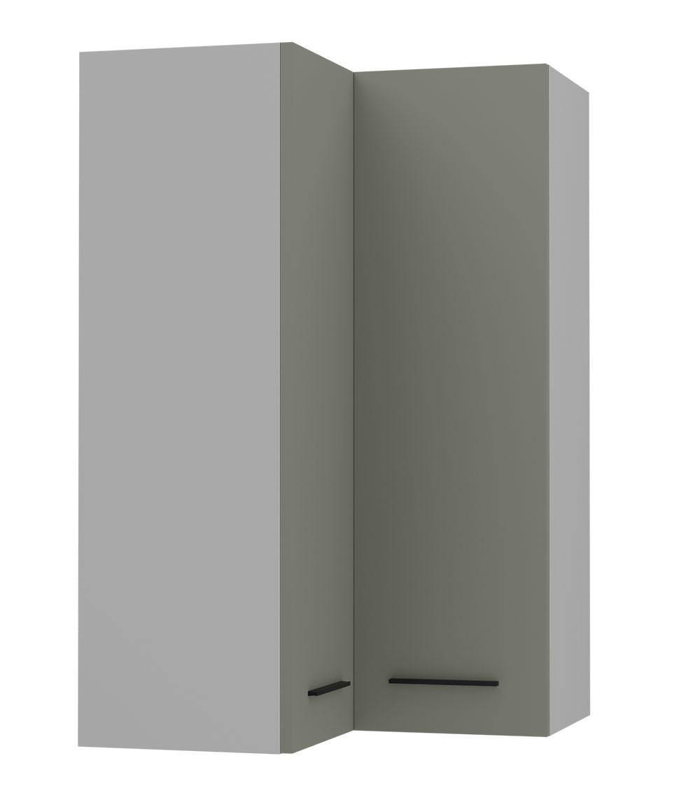 ECKHÄNGESCHRANK Bonn W14/60 grau / reed green matt 60 / 60 / 96cm - Grau/Grün, Holz/Holzwerkstoff (60/96/60cm) - Feldmann-Wohnen