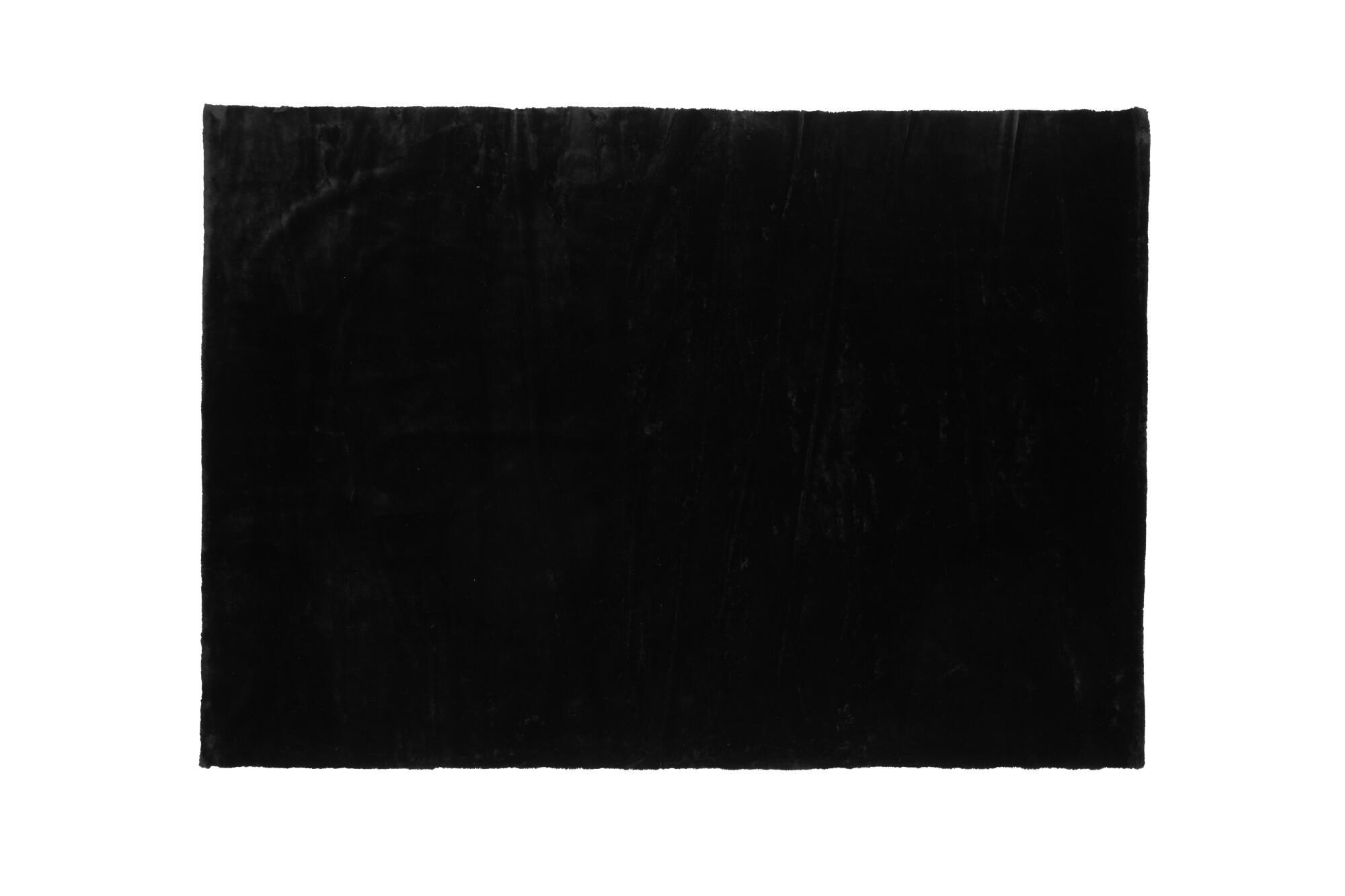 WOHNZIMMERTEPPICH NINA Schwarz 160x230x2 cm - Schwarz, Textil (160/230cm) - FURNLUX