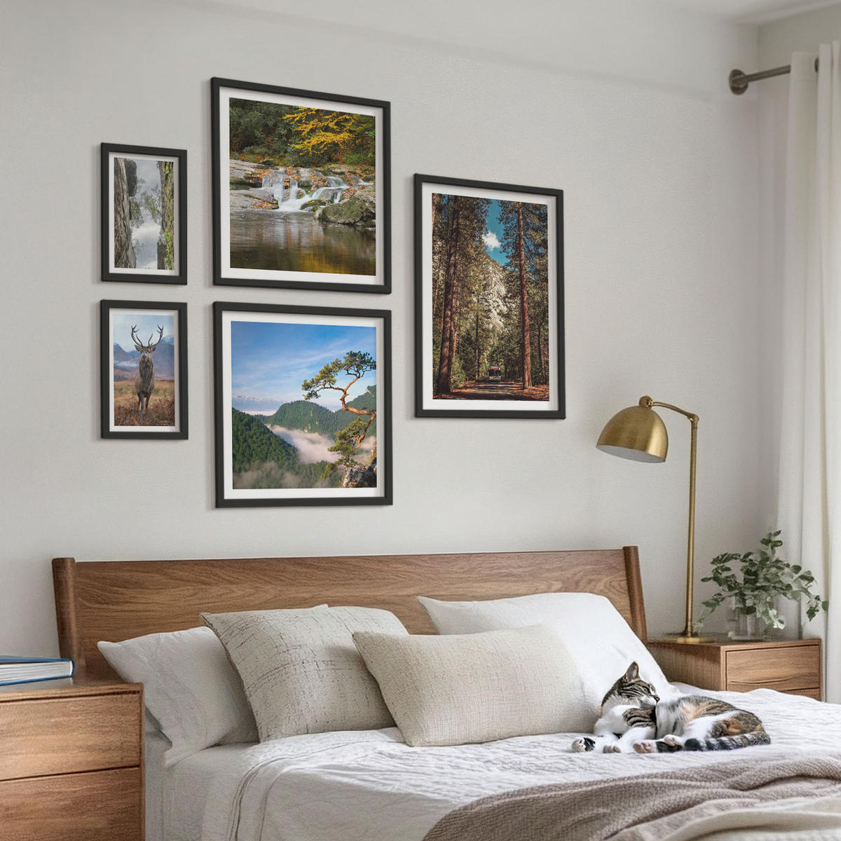 WANDBILDER 5er-Set - 50x50 cm & 20x30 cm & 40x60 cm Schwarzer Rahmen - Wasserfall Wald Berge Hirsch Natur - Schwarz, Kunststoff (40/60cm) - ArtPrintCave