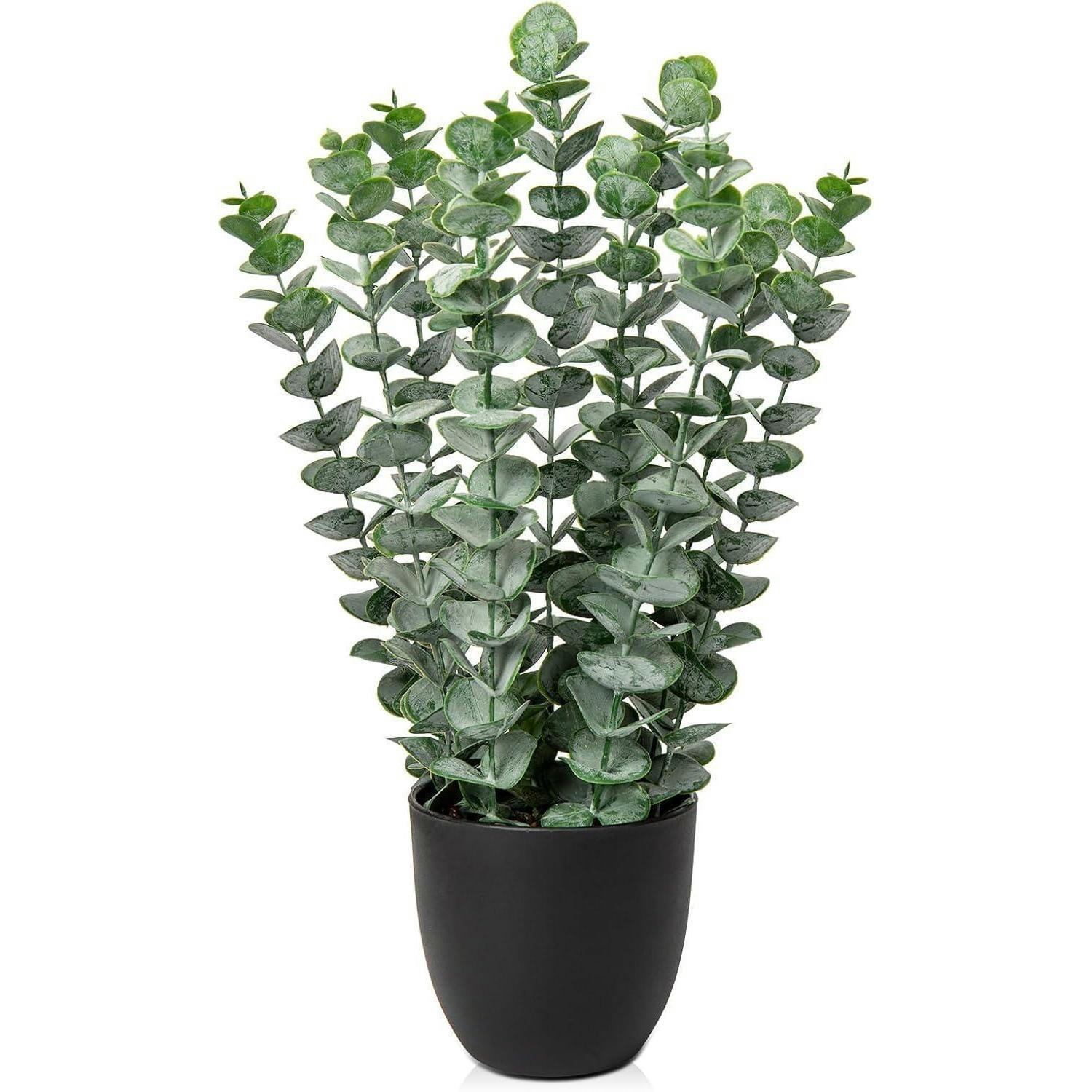 KUNSTPFLANZE Eukalyptus 40 cm Grün im Schwarzen Topf - Grün, Kunststoff (44cm)