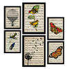 POSTER Set Mit 6 Noten Vintage Papier Stil Plakate Mit Enzyklopädie Hintergründen Natur Und Flug, Vögel Und Schmetterlinge A3 & A4 Schwarzer Rahmen - Schwarz, Papier (29/3cm) - Nacnic