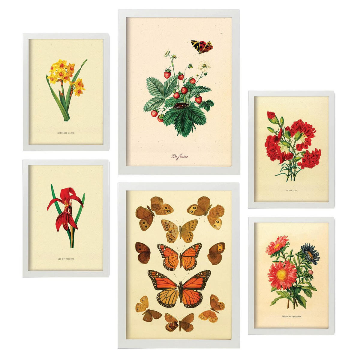 POSTER Set Mit 6 Schmetterlinge In Vintage A3 & A4 Weißer Rahmen - Weiß, Papier (29/3cm) - Nacnic