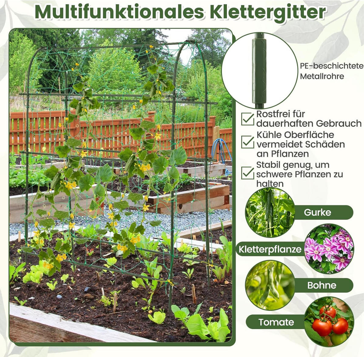HOCHBEET Schwarz - Schwarz, Holz (37/189/76cm) - COSTWAY