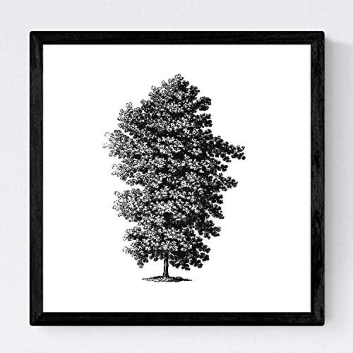 POSTER Set mit 4 Blättern der Hohe Bäume Hintergrund 30x30 cm Rahmenlos - Klar, Papier (30/3cm) - Nacnic