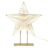 LED Weihnachtsstern HTHD0212 - Champagner, Kunststoff/Metall (7/48.5/39.5cm) - Hometopia