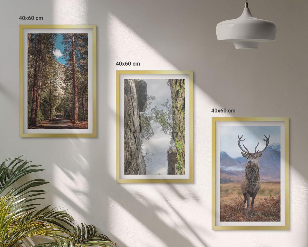 WANDBILDER 3er Set - 40x60 cm Goldrahmen - Straße Wald Berge Hirsch Natur - Goldfarben, Kunststoff (40/60cm) - ArtPrintCave