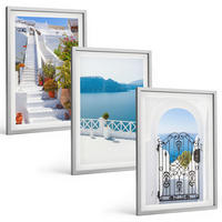 BILDER SET 3er Set - 40x60 cm Silberner Rahmen - Weiße Treppenpflanzen Seetor - Silberfarben, Kunststoff (40/60cm) - TULUP