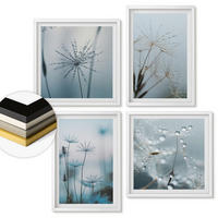 WANDBILDER 4er-Set - 50x50 cm & 40x60 cm Weißer Rahmen - Löwenzahn-Wassertropfen - Weiß, Kunststoff (50/50cm) - ArtPrintCave