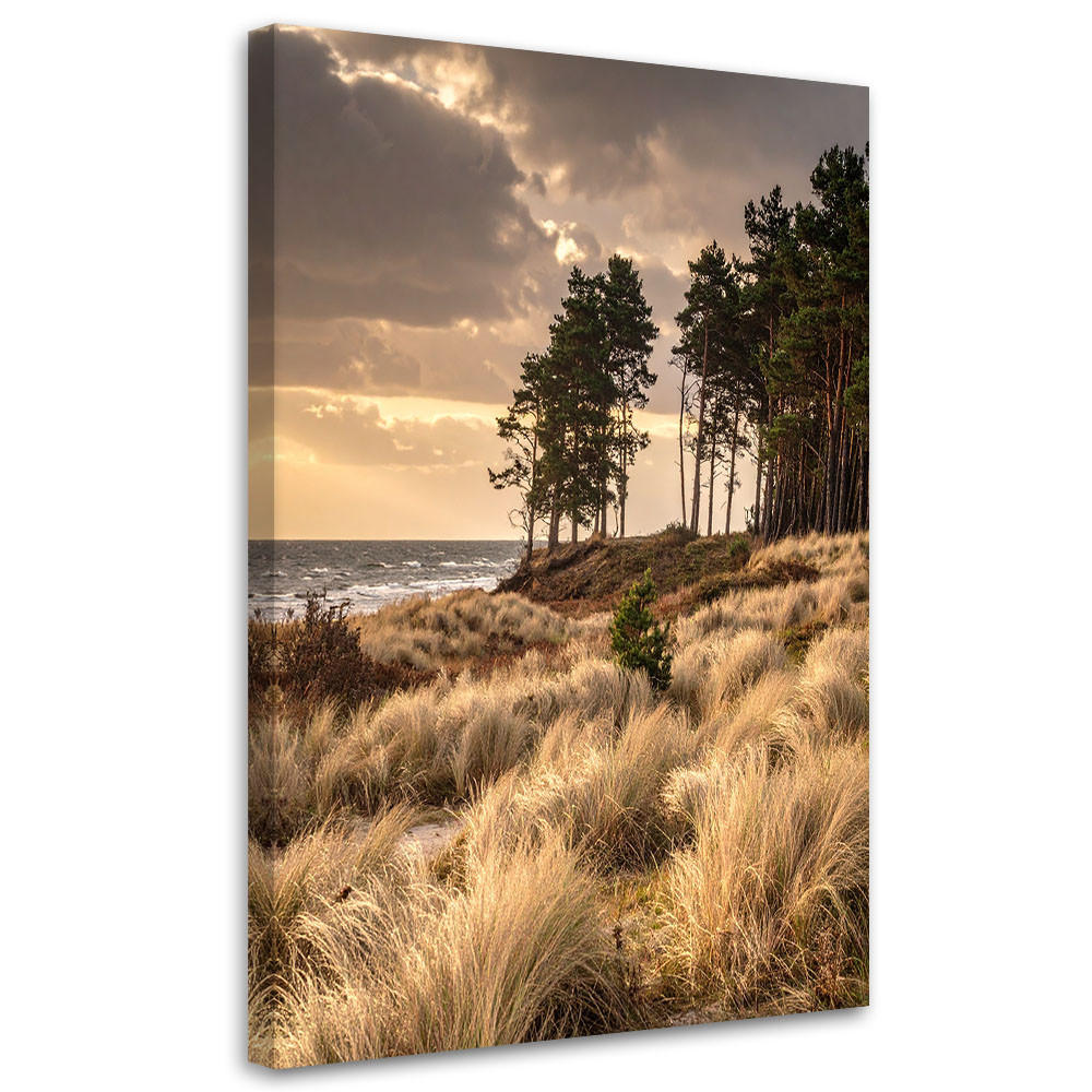 LEINWANDBILD Natur und Botanik 60x90cm - Beige, Textil (60/90cm) - Feeby