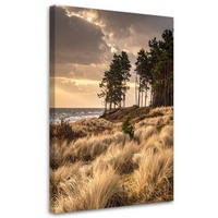 LEINWANDBILD Natur und Botanik 60x90cm - Beige, Textil (60/90cm) - Feeby