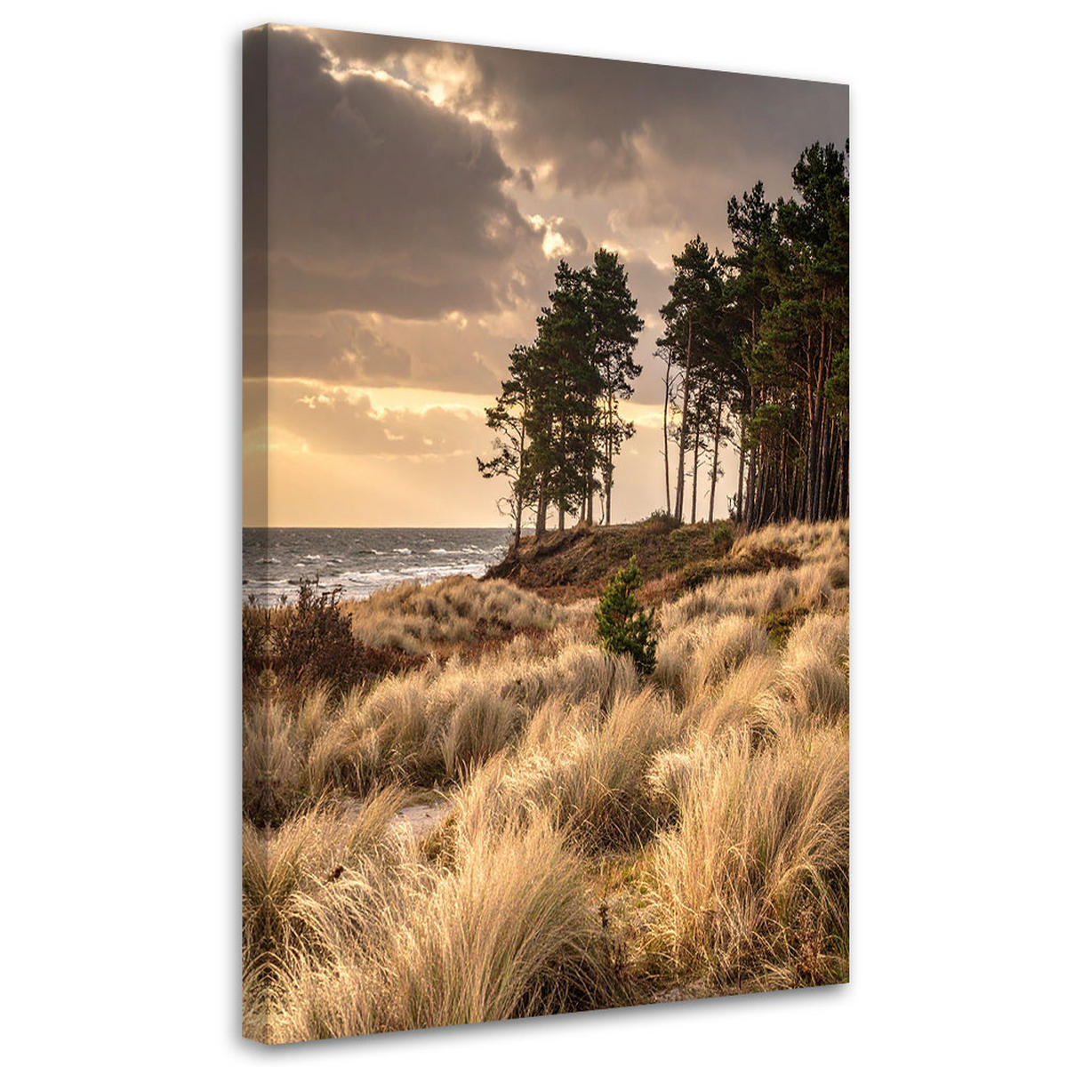 LEINWANDBILD Natur und Botanik 60x90cm - Beige, Textil (60/90cm) - Feeby