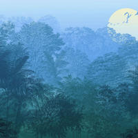 FOTOTAPETE Dschungel 400 x 280 cm - Blau, Papier (400/280cm) - Sanders & Sanders