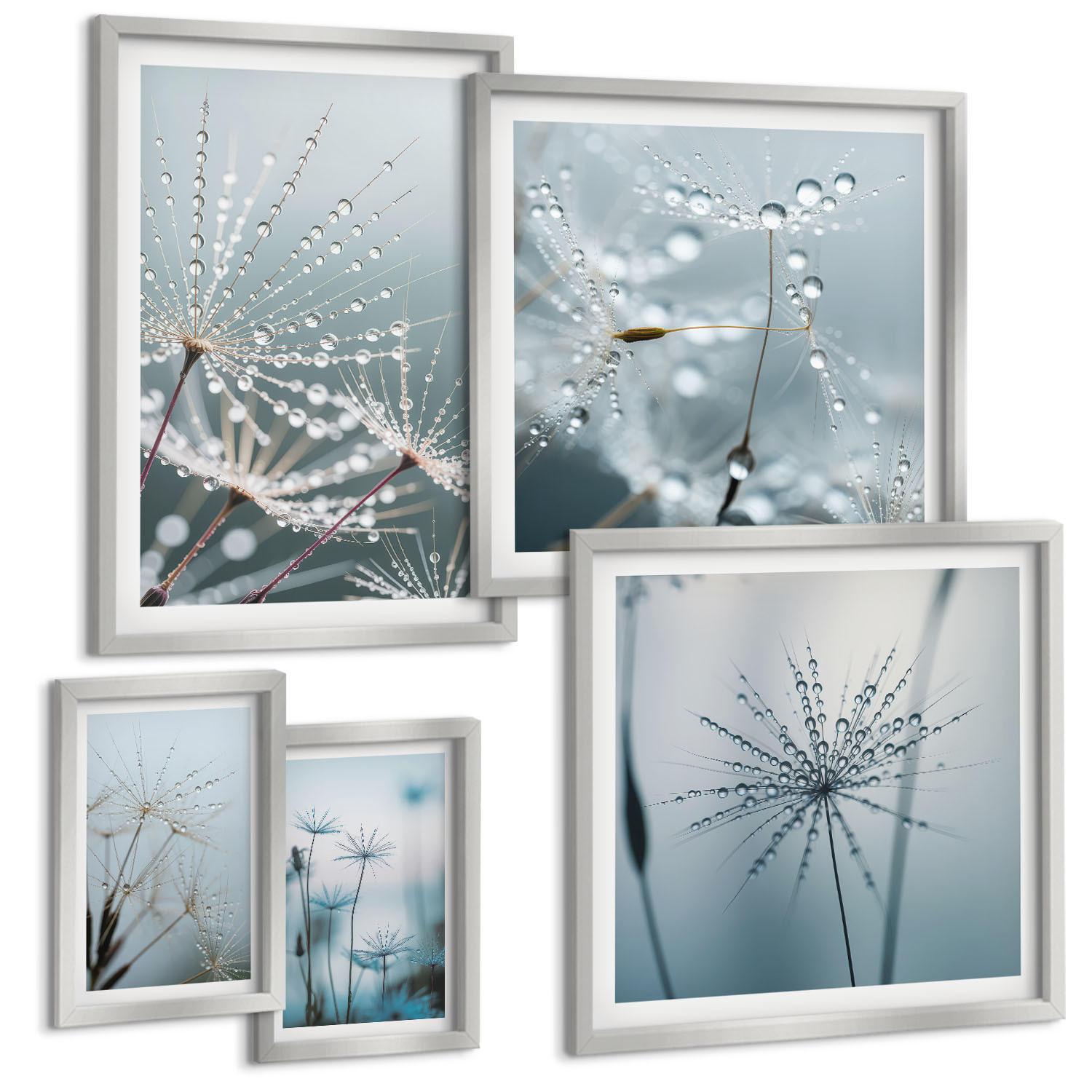 BILDER SET 5er Set - 50x50 cm & 20x30 cm & 40x60 cm Silberner Rahmen - Tautropfen auf Löwenzahn - Silberfarben, Kunststoff (40/60cm) - TULUP