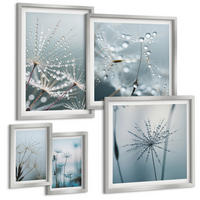 BILDER SET 5er Set - 50x50 cm & 20x30 cm & 40x60 cm Silberner Rahmen - Tautropfen auf Löwenzahn - Silberfarben, Kunststoff (40/60cm) - TULUP
