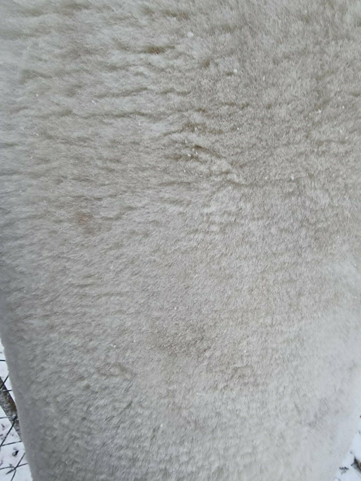 SCHAFFELL Lammfell elfenbeinfarben vegetabil gegerbt, ca. 120 cm - Weiß, Fell (70/120cm) - Provellus