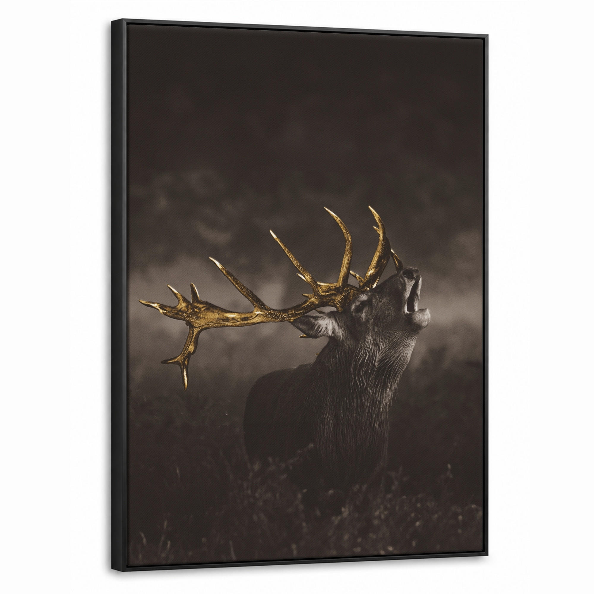 MuchoWow Leinwand Braun 60x80 cm