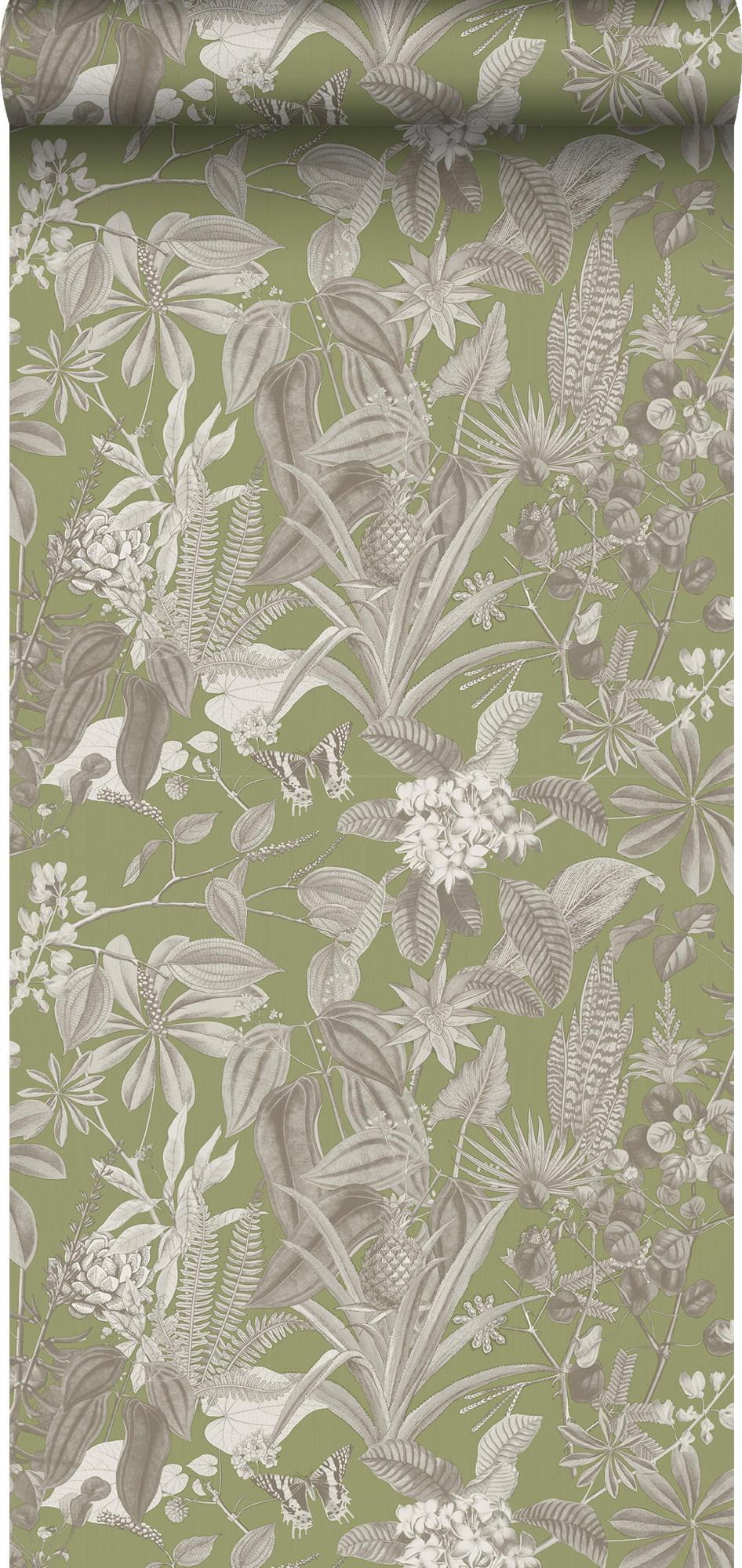 TAPETE tropische Blätter und Blüten 53 cm x 10 m - Grün, Papier (53/1000cm) - Sanders & Sanders