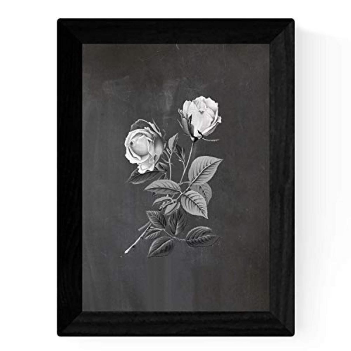 POSTER Set mit 4 Botanische Schwarz Hintergrund Rosen A3 Rahmenlos - Klar, Papier (29.7/3cm) - Nacnic