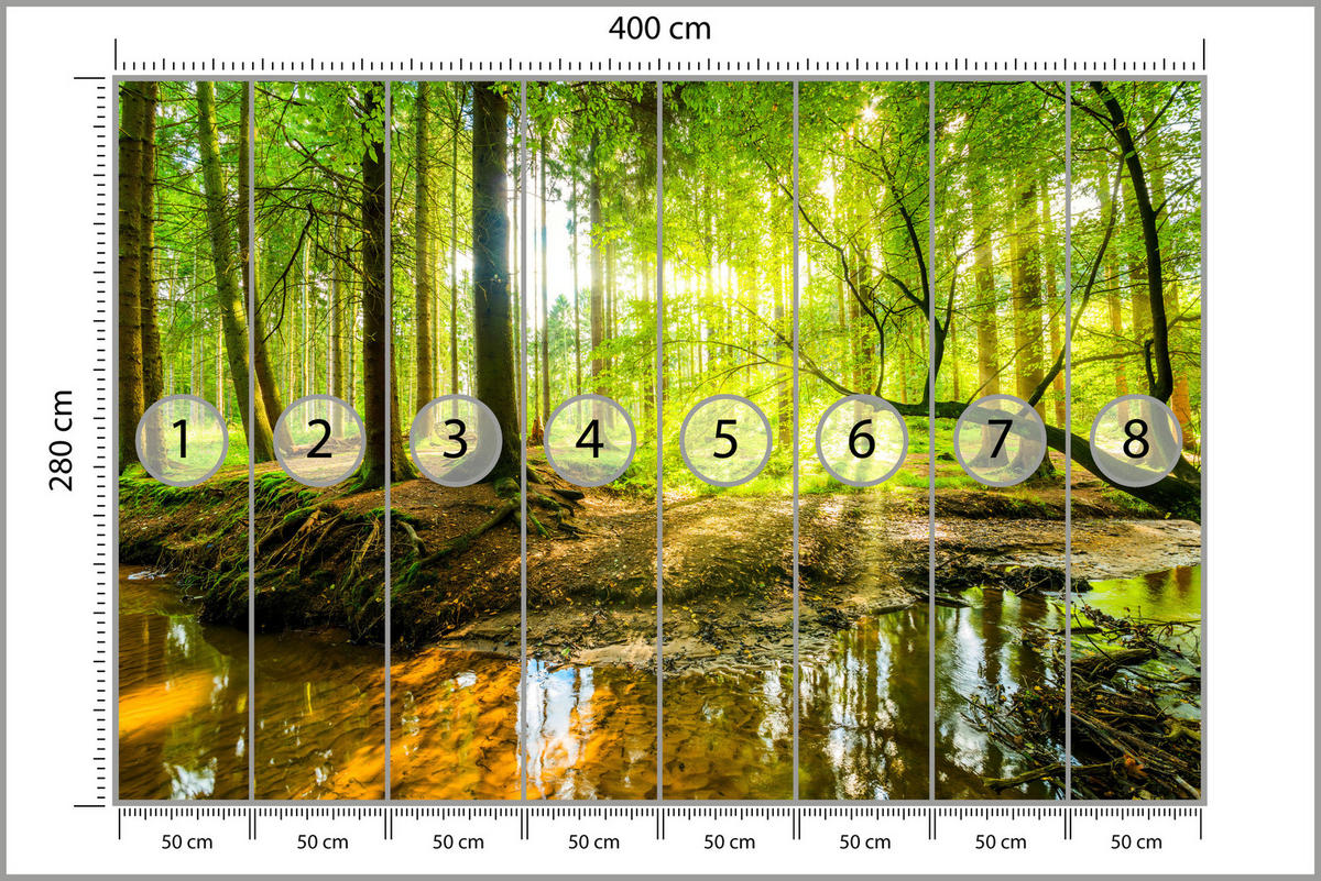 FOTOTAPETA Pre Obývaciu Izbu Lesná Krajina Stromy Listy Jar Zelená 400 x 280 cm - oranžová/hnedá, papier (400/280cm) - Muralo