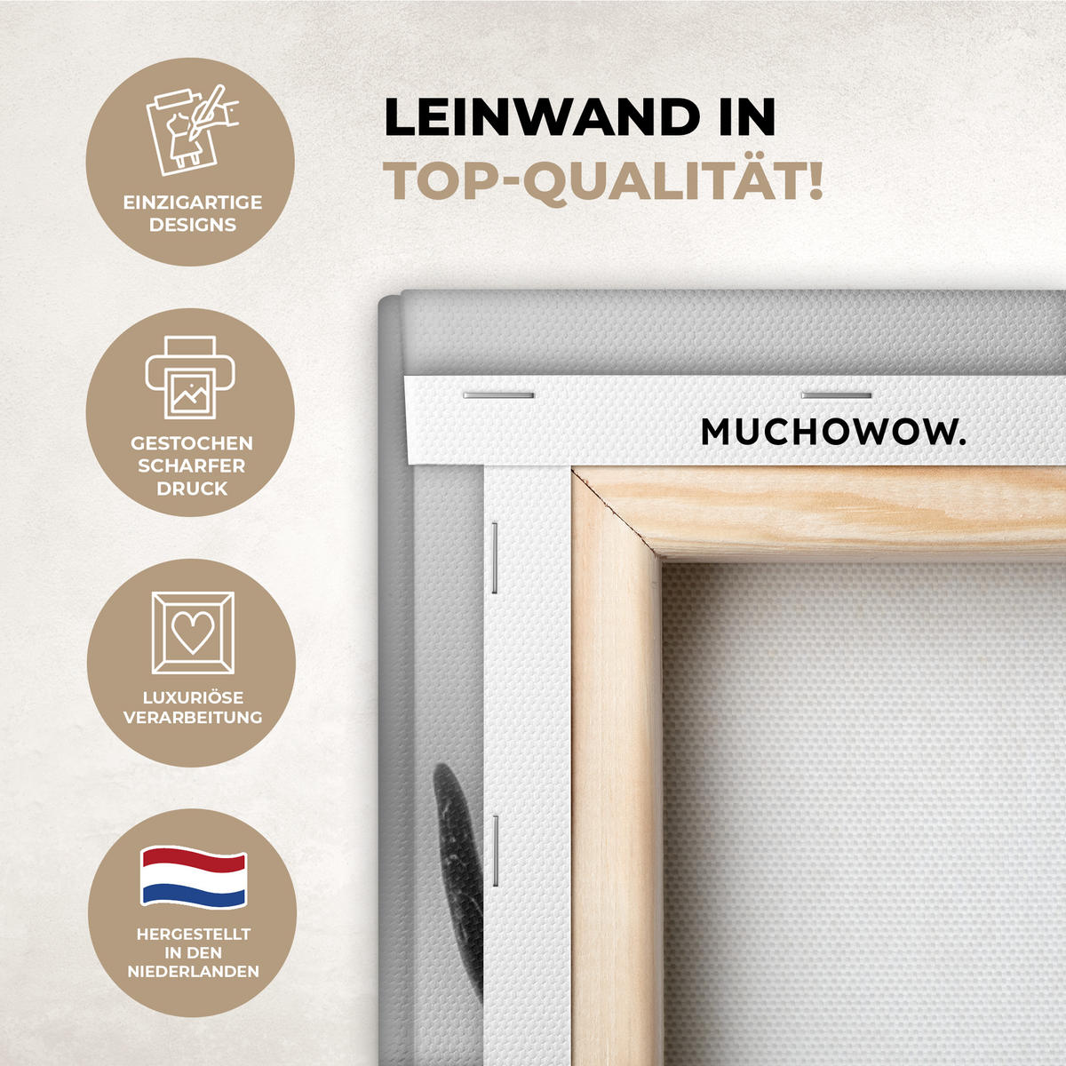 OBRAZ NA PLÁTNĚ Kráva - Skotský horal - Černá - Bílá - Zvíře - Příroda - Divoká zvěř 60x80 cm - černá, textil (60/80cm) - MuchoWow