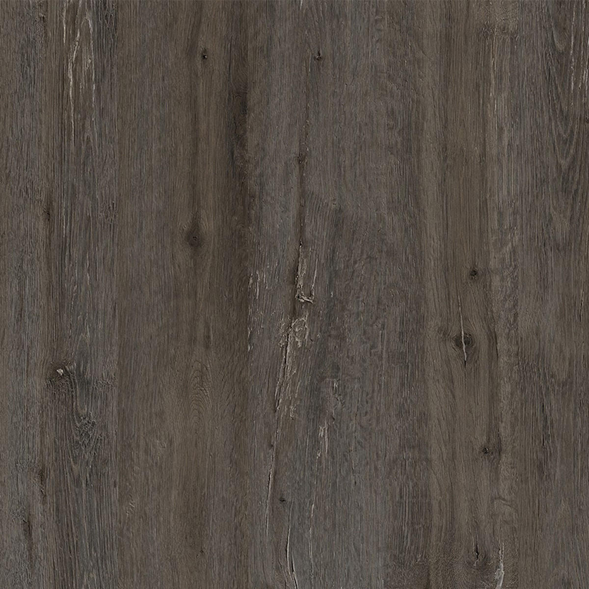 SCHUHSCHRANK 4 Türen L105 cm - Dude - Graubraun, Holzwerkstoff (26/118.5/105cm) - Calicosy