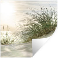 WANDTATTOO Dünen - Strand - Schlewswig-Holstein - Wattenmeer 50x50 cm - Creme, Kunststoff (50/50/0.1cm) - MuchoWow