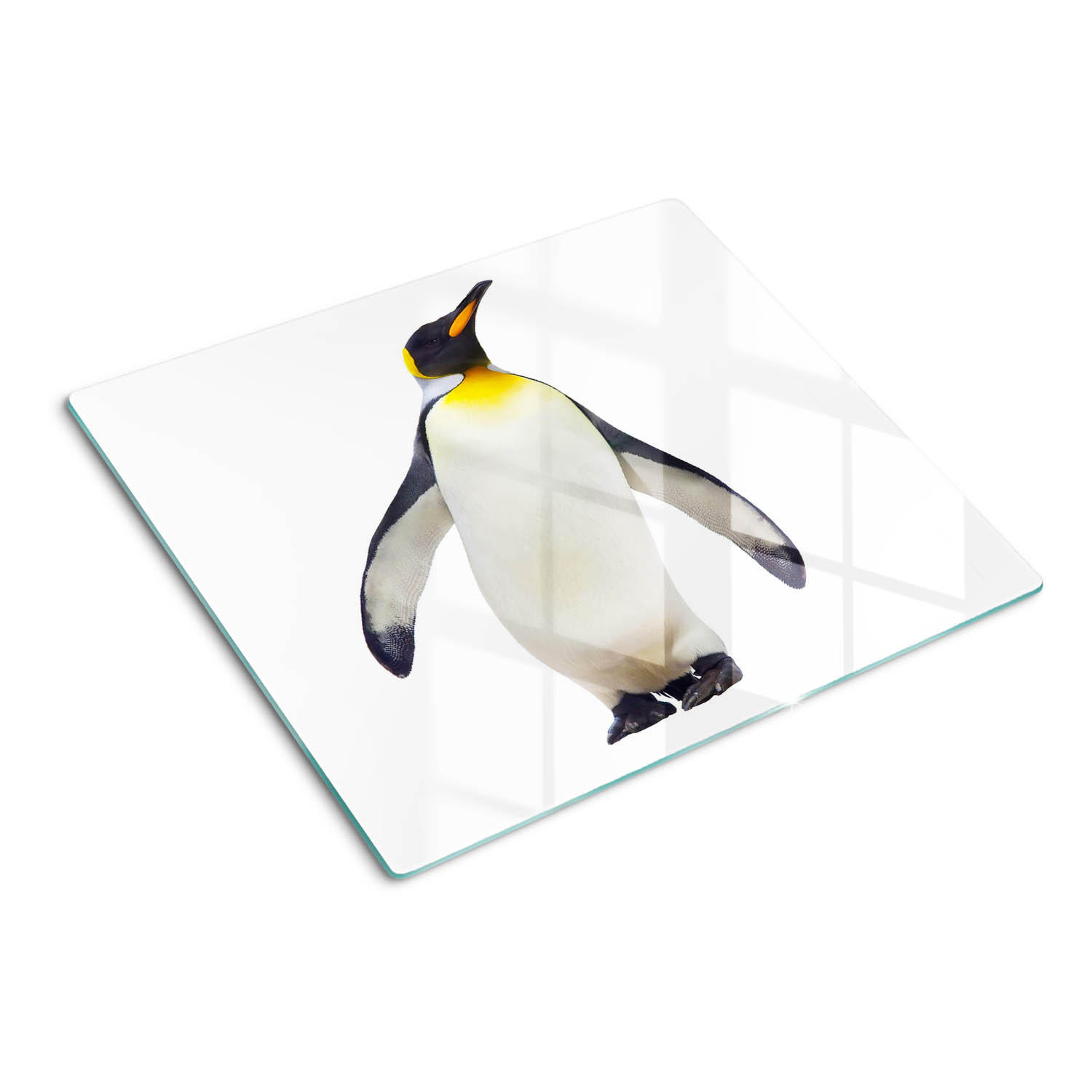 GLASPLATTE 60x52 cm Pinguin - Weiß, Glas (60/0.4/52cm) - TULUP