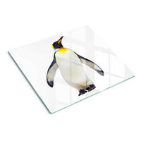 GLASPLATTE 60x52 cm Pinguin - Weiß, Glas (60/0.4/52cm) - TULUP