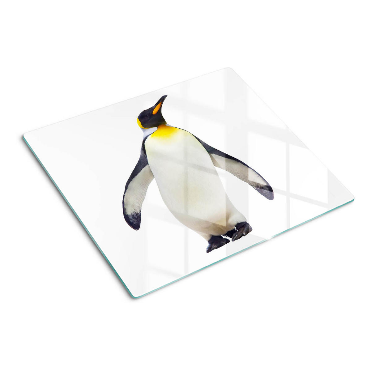 GLASPLATTE 60x52 cm Pinguin - Weiß, Glas (60/0.4/52cm) - TULUP