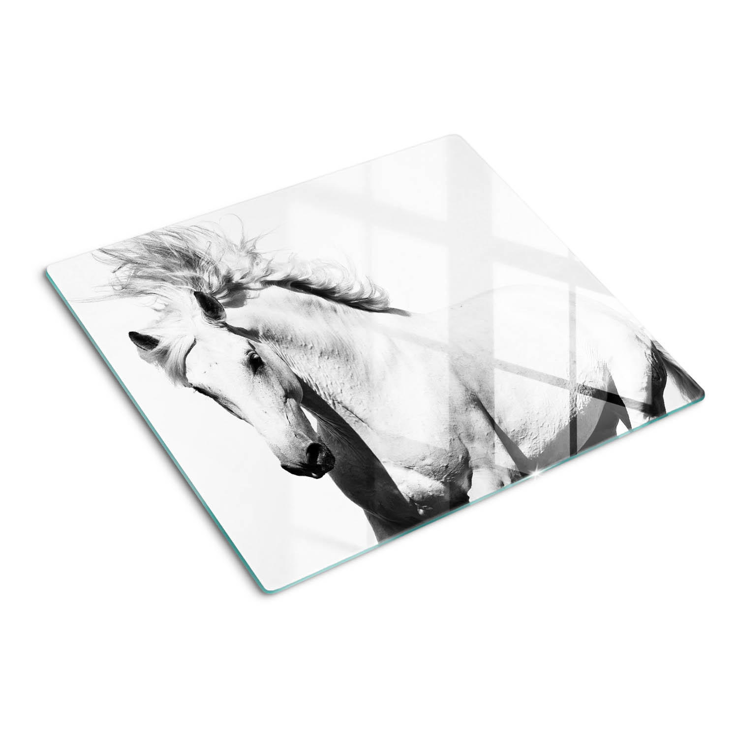 GLASPLATTE 60x52 cm Schimmel - Weiß, Glas (60/52cm) - TULUP