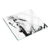 GLASPLATTE 60x52 cm Schimmel - Weiß, Glas (60/52cm) - TULUP