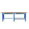 WERKBANK Buffalo Wood mit 2x Schublade HxBxT 86,5 x 210 x 75 cm Traglast 1000 kg Blau - Blau, Metall (210/86.5/75cm) - PROREGAL
