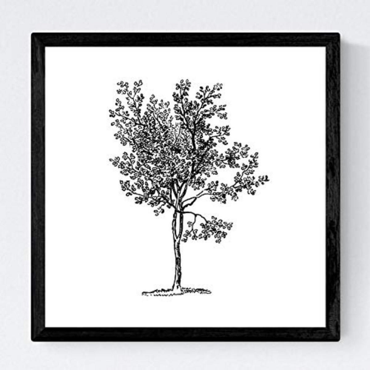 POSTER Set mit 4 Blättern der Grove weiß 20x20cm Schwarzer Rahmen - Schwarz, Papier (20/3cm) - Nacnic