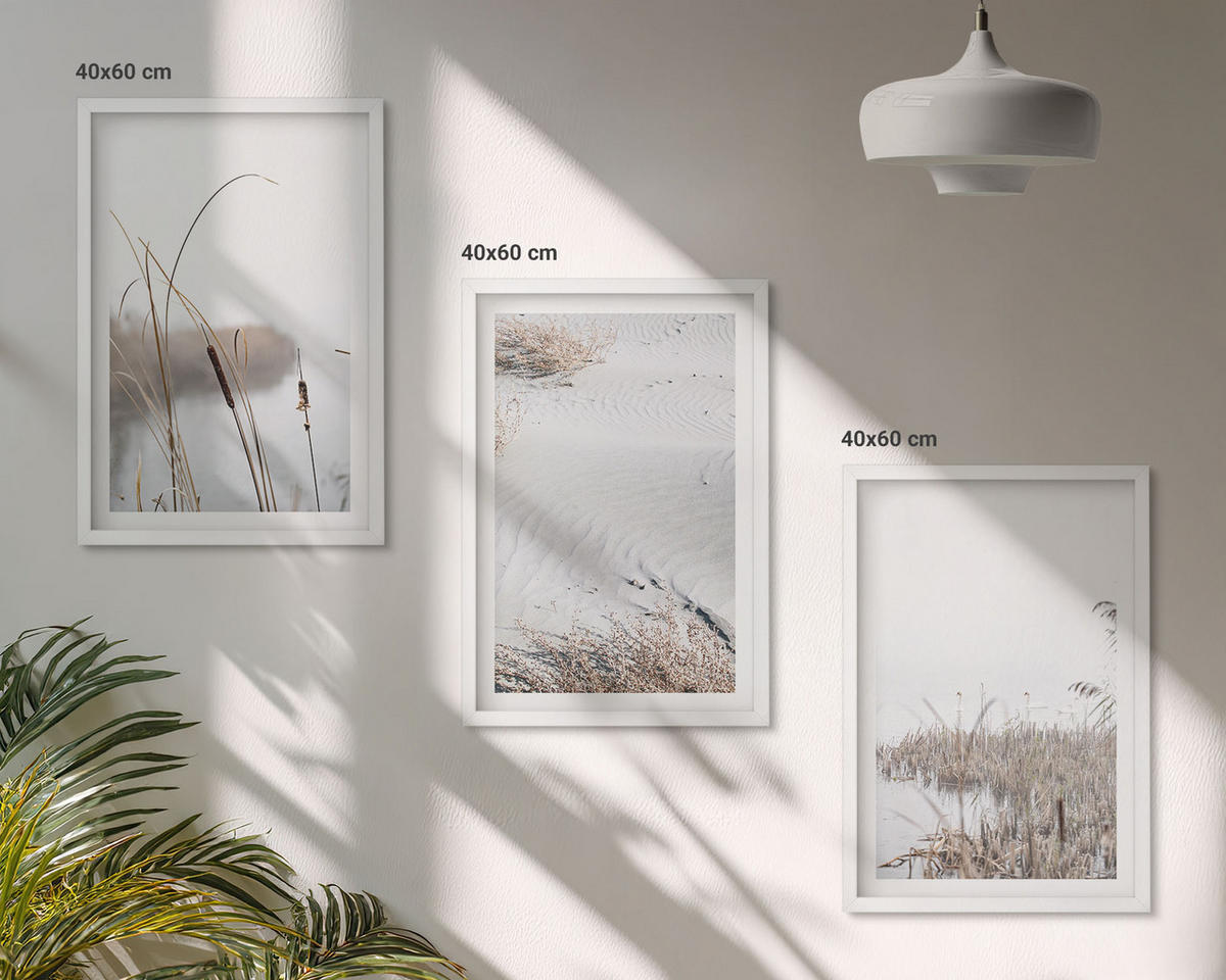 WANDBILDER 3er-Set - 40x60 cm Weißer Rahmen - Wasserpflanzen im Sommer - Weiß, Kunststoff (40/60cm) - ArtPrintCave